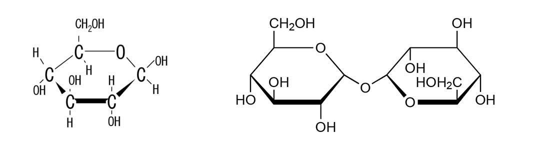 美白护肤品是早上用好还是晚上用好（美白护肤品白天用还是晚上用）