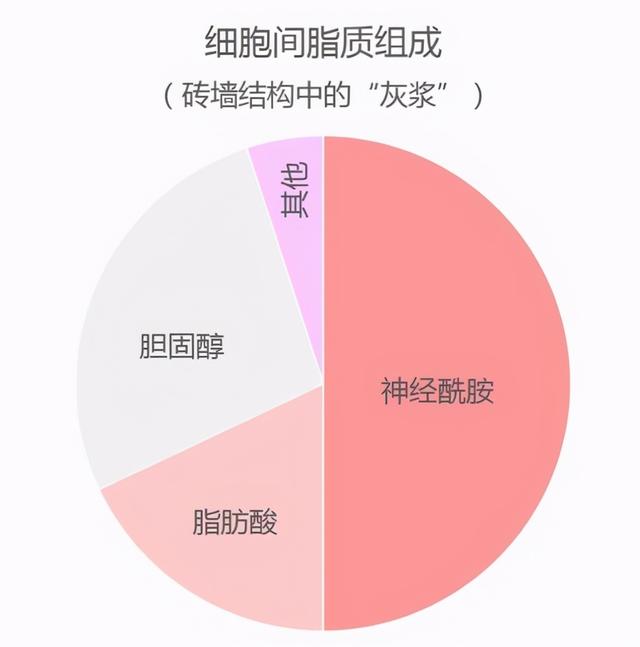 美白护肤品是早上用好还是晚上用好（美白护肤品白天用还是晚上用）