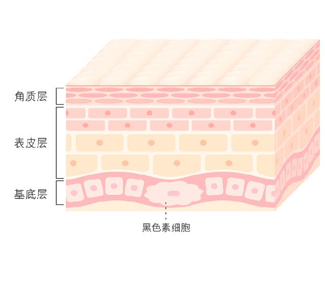 美白护肤品是早上用好还是晚上用好（美白护肤品白天用还是晚上用）